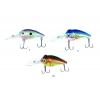 20X Deep Fat Shad 50mm 3-Piece Kits